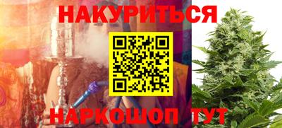 шишки Славгород