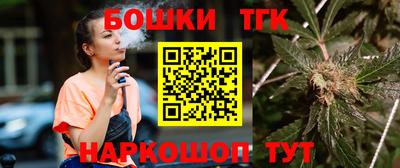 шишки Славгород
