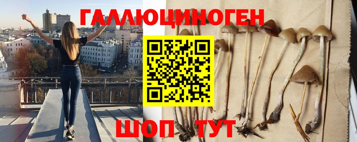 Галлюциногенные грибы прущие грибы  Вход с VPN  Прохладный  Псилоцибиновые грибы мухоморы 